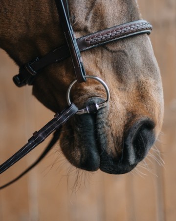 Fager leren bustrens ADAM