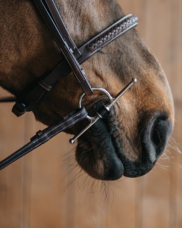 Fager leren kneveltrens ADAM