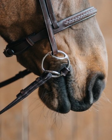 Fager leren beval bit Adam