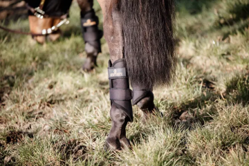 Kentucky Brushing boots 3D Spacer zwart