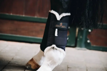 Kentucky Brushing boots Solimbra hind zwart