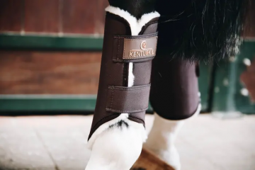 Kentucky Brushing boots Solimbra hind