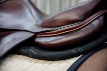 Kentucky Zadelonderlegger Impact Equalizer