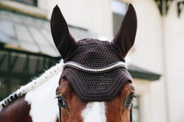 Kentucky oornetje Wellington bruin