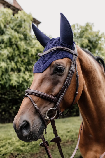 Kentucky oornetje Wellington