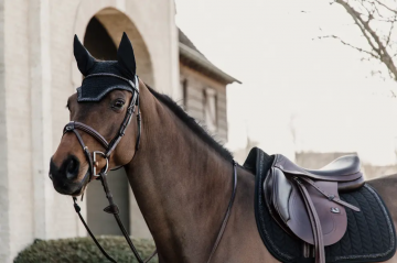 Kentucky oornetje Wellington Glitter Stone