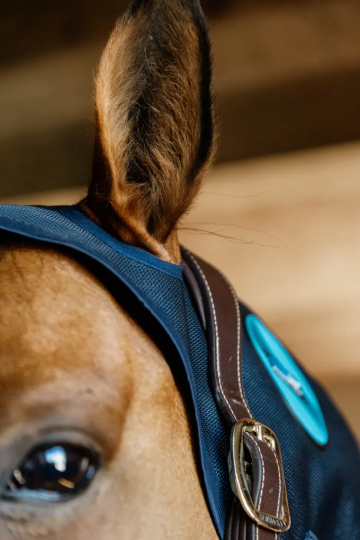 Kentucky Magnetic Neck Protector Recuptex