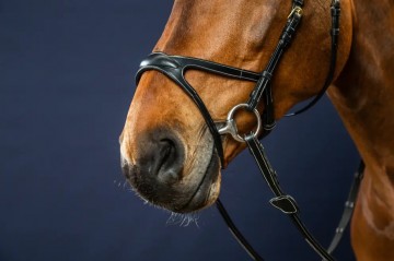 Dy'on D Collection X-Fit hoofdstel