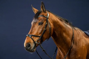 Dy'on D Collection X-Fit hoofdstel