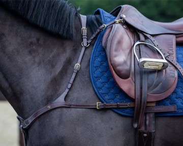 Dy'on D Collection anatomisch borsttuig