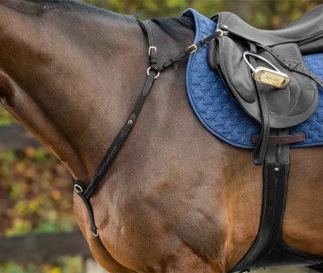 Dy'on D Collection borsttuig met brug