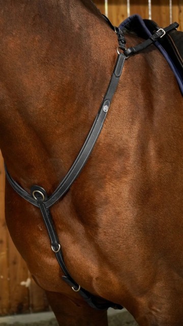 Dy'on working borsttuig met brug