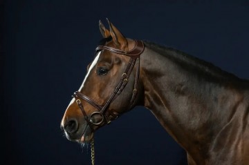 Dy'on D Collection Difference Hoofdstel