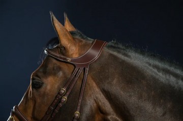 Dy'on D Collection Difference Hoofdstel