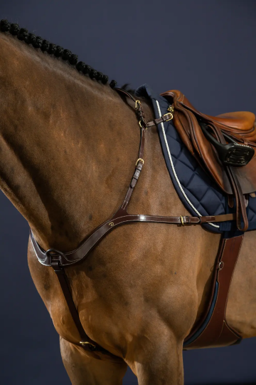 Dy'on D Collection anatomisch borsttuig