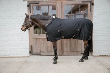 Kentucky Cotton sheet zwart