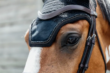 Kentucky Oornetje Wellington Velvet Pearls zwart