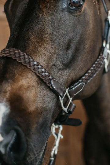Dy'on plaited halster