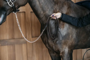 Dy'on plaited hengstenketting