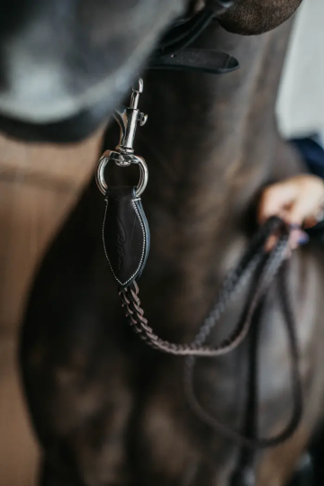 Dy'on plaited halstertouw