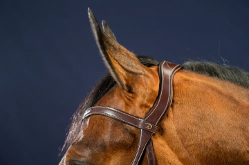 Dy'on D Collection X-Fit hoofdstel