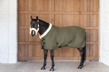 Kentucky showdeken groen