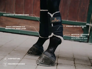 Kentucky Brushing boots Solimbra front zwart