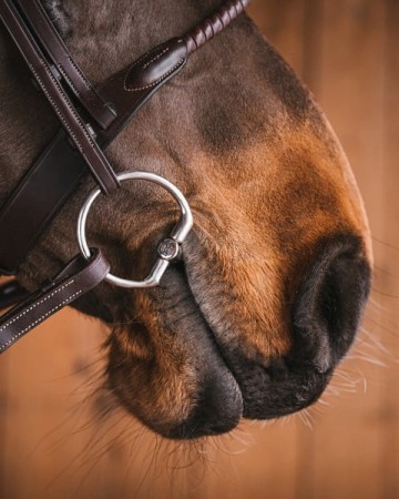 Bustrens CONNY met sweet iron