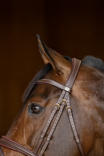 6hfi020br   padded tetiere