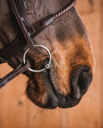 705f4293d6daa titanlooserings