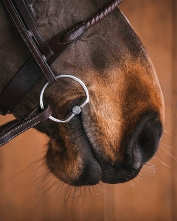 Titanium bustrens ANNIE