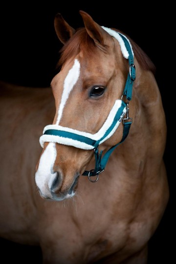 HG anatomisch halster met fake fur