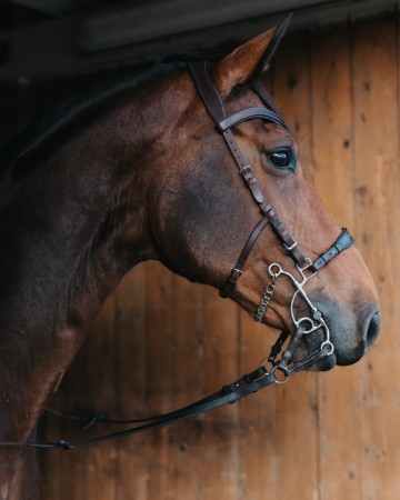 Otto hackamore combinatie bit medium