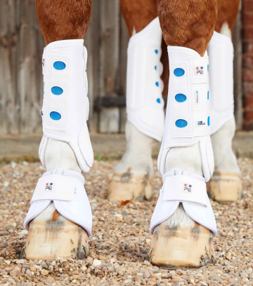 Premier Equine Air-Cooled original eventing boot