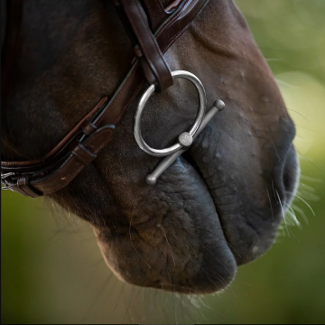 Titanium baby fulmer SALLY