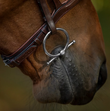 Sweet iron baby fulmer Gustav