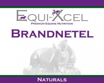 Brandnetel paard