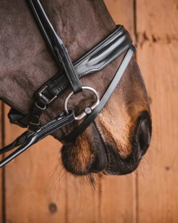 Fager titanium onderlegtrens