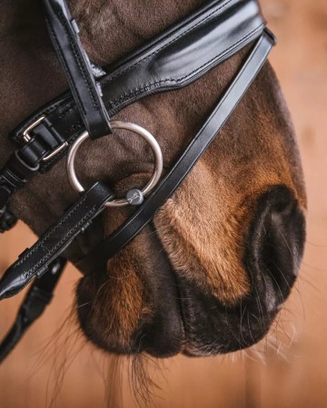 Fager titanium stang en trens