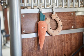 Paardenspeeltje wortel