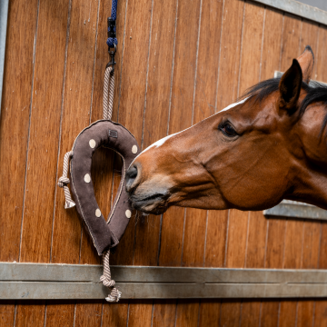 Paardenspeeltje hoefijzer