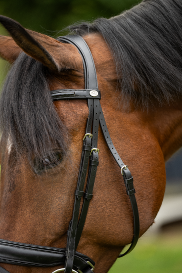 HFI hoofdstel Edges met lak