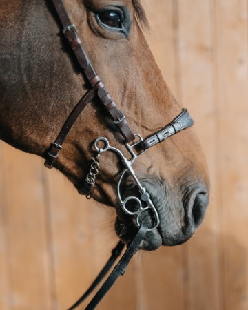 Otto hackamore combinatie bit kort