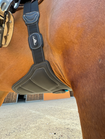Equick Essentials skyride buikflap singel