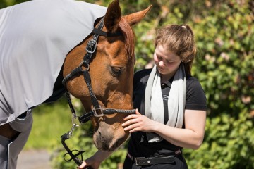 Equine-Microtec Cooling set - 5 delig