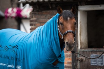 Equine Equine-Microtec Cooling set - 5 deligfs195456vubqkpcwrgzum