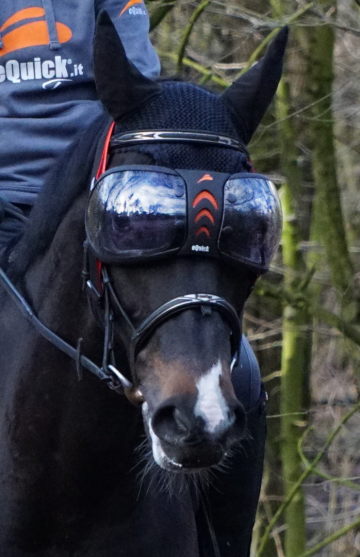 eQuick eVysor Transparant