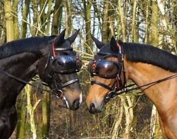 eQuick eVysor Transparant