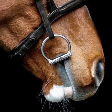 Fager bustrens logo rechts