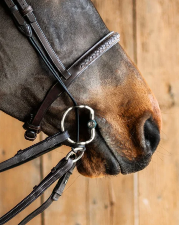 Fager ophaaltrens nicole